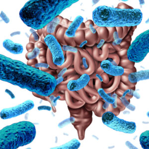 Microbiota y Sistema Inmune y su comunicación biológica.