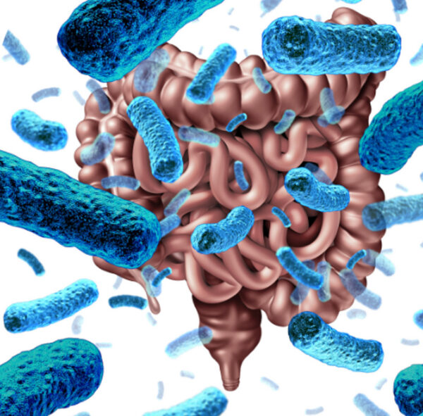 Microbiota y Sistema Inmune y su comunicación biológica.