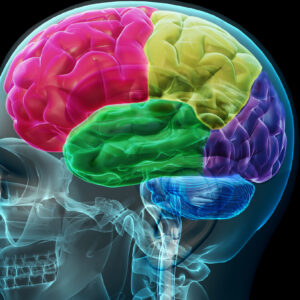 Postgrado Osteopatía craneal con orientación clínica