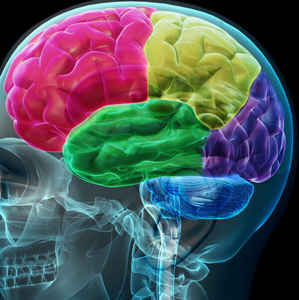 Postgrado Osteopatía craneal con orientación clínica